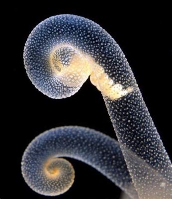  Bodo! Découverte d’une créature microscopique aux tentacules hypnotiques